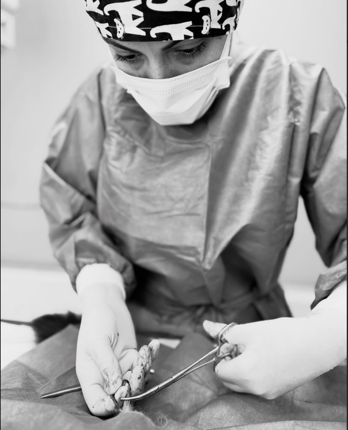 Klinikte minik dostlarla eğlenceli bir an